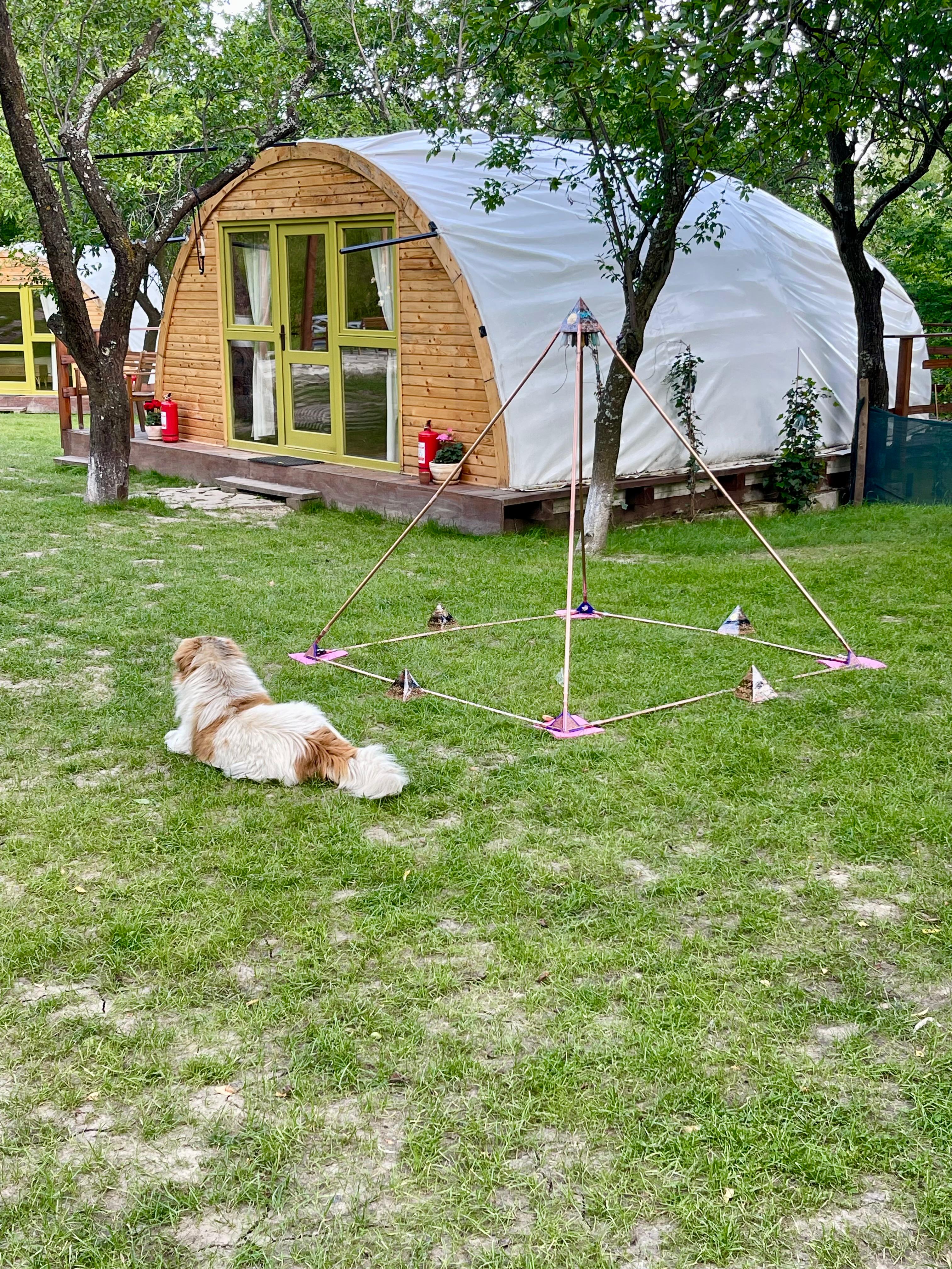 Cercul celor Cinci: despre orgonul mare și cele patru surori cardinale care susțin spațiul vindecării